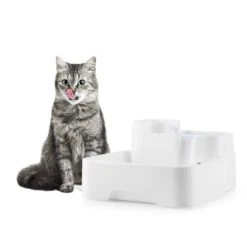 Lake Lassie Haustiertränke Tierbrunnen 4L Pumpe Aktivkohlefilter 10 Lake Lassie Haustiertränke Tierbrunnen 4L Pumpe Aktivkohlefilter -Garten Store 10031380 yy 0003 ambient oneConcept Lake Lassie Haustiertraenke