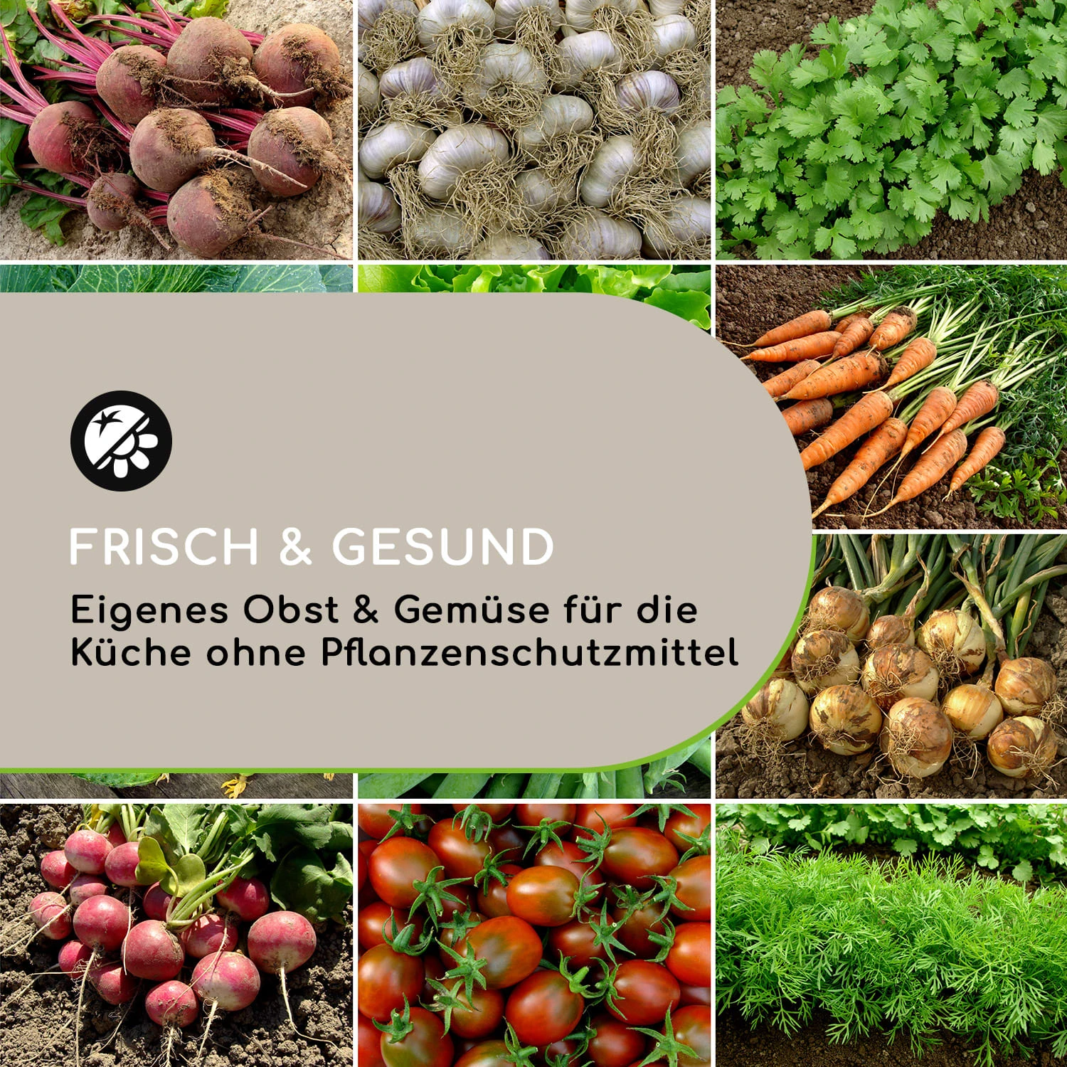 High Grow Straight Hochbeet 180x60x90cm 970l Stahl Verzinkt Silber 3 High Grow Straight Hochbeet 180x60x90cm 970l Stahl Verzinkt Silber – Bild 3