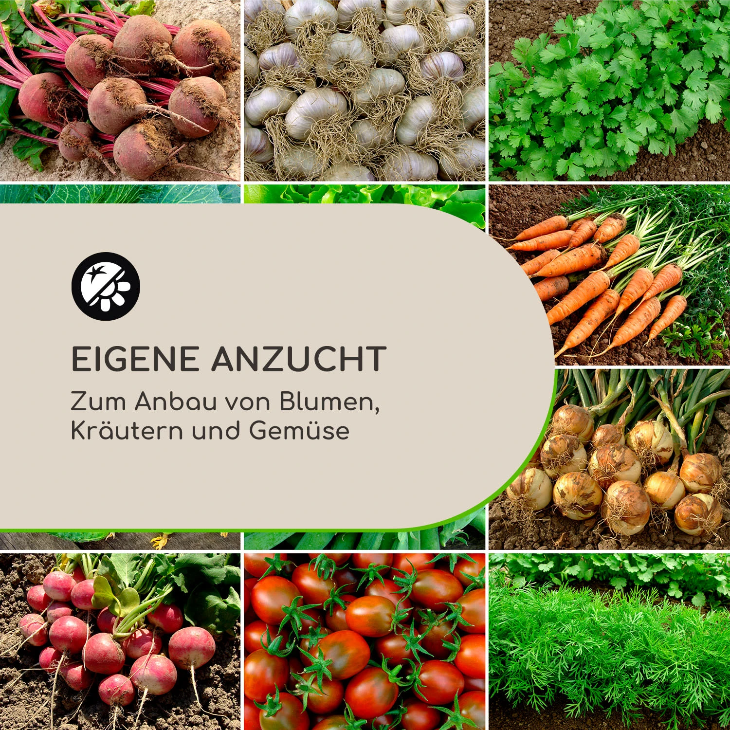 High Grow Advanced Hochbeet Mit Dach 120x95x100cm 540l Stahl Verzinkt 3 High Grow Advanced Hochbeet Mit Dach 120x95x100cm 540l Stahl Verzinkt – Bild 3