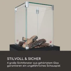 Flagranti Crystal View Gasheizstrahler 8kW Edelstahl -Garten Store 10035093 de 0005 logo