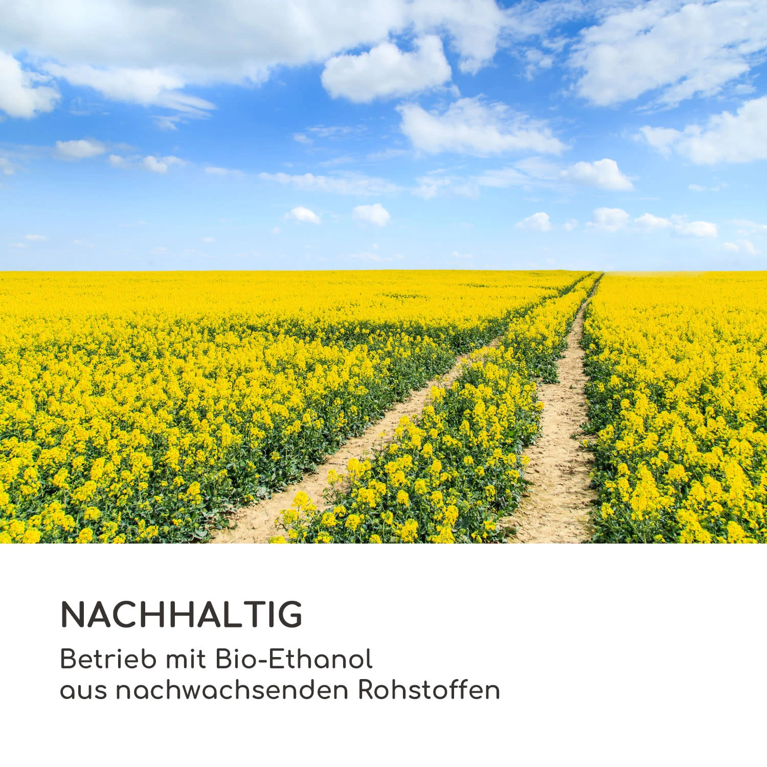 Fiamme Triangolo Ethanol-Laterne 2-Set Edelstahl-Brenner 0,3 Liter 4h Brenndauer 8 Fiamme Triangolo Ethanol-Laterne 2-Set Edelstahl-Brenner 0,3 Liter 4h Brenndauer – Bild 8