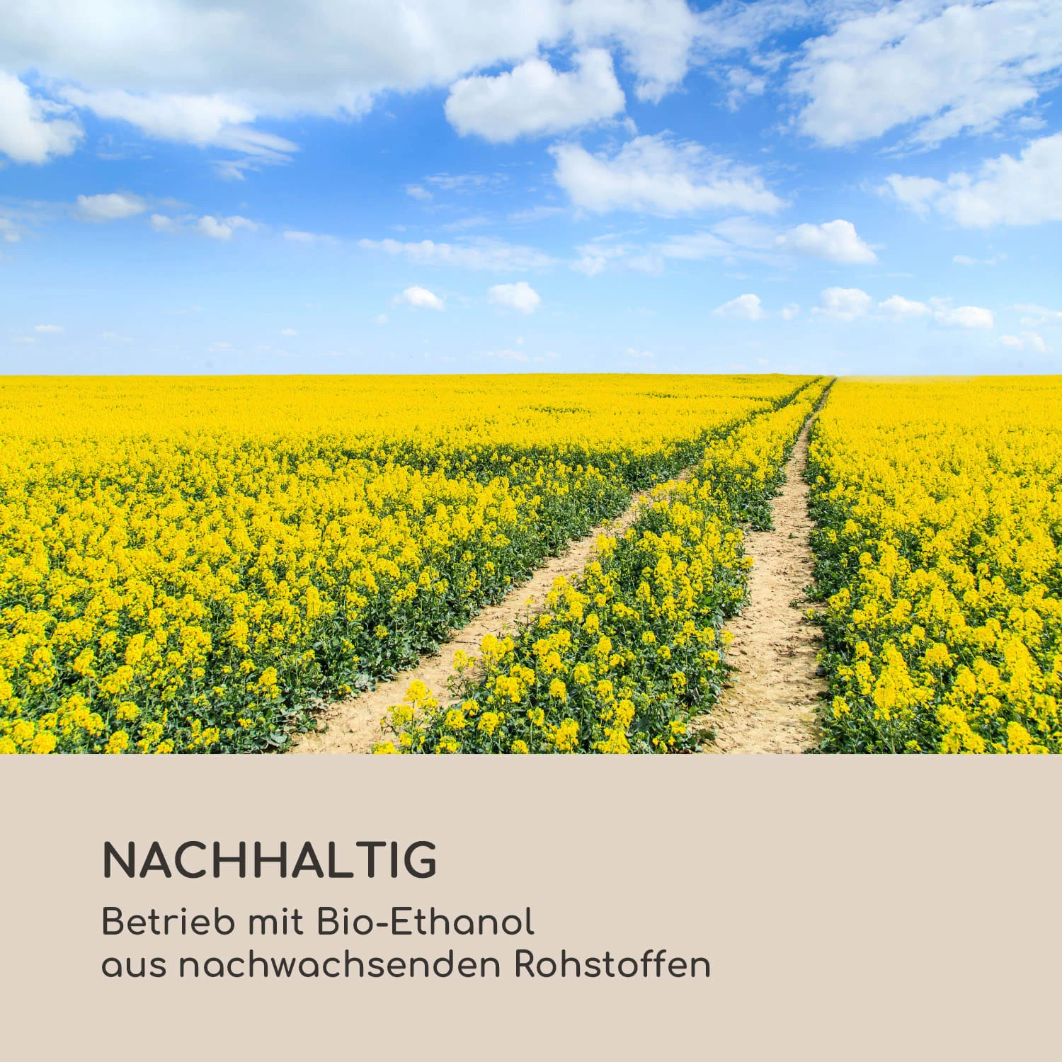 Fiamme Cilindro Ethanol-Laterne 2-Set Edelstahl-Brenner 0,3 Liter 4 H Brenndauer 8 Fiamme Cilindro Ethanol-Laterne 2-Set Edelstahl-Brenner 0,3 Liter 4 H Brenndauer – Bild 8