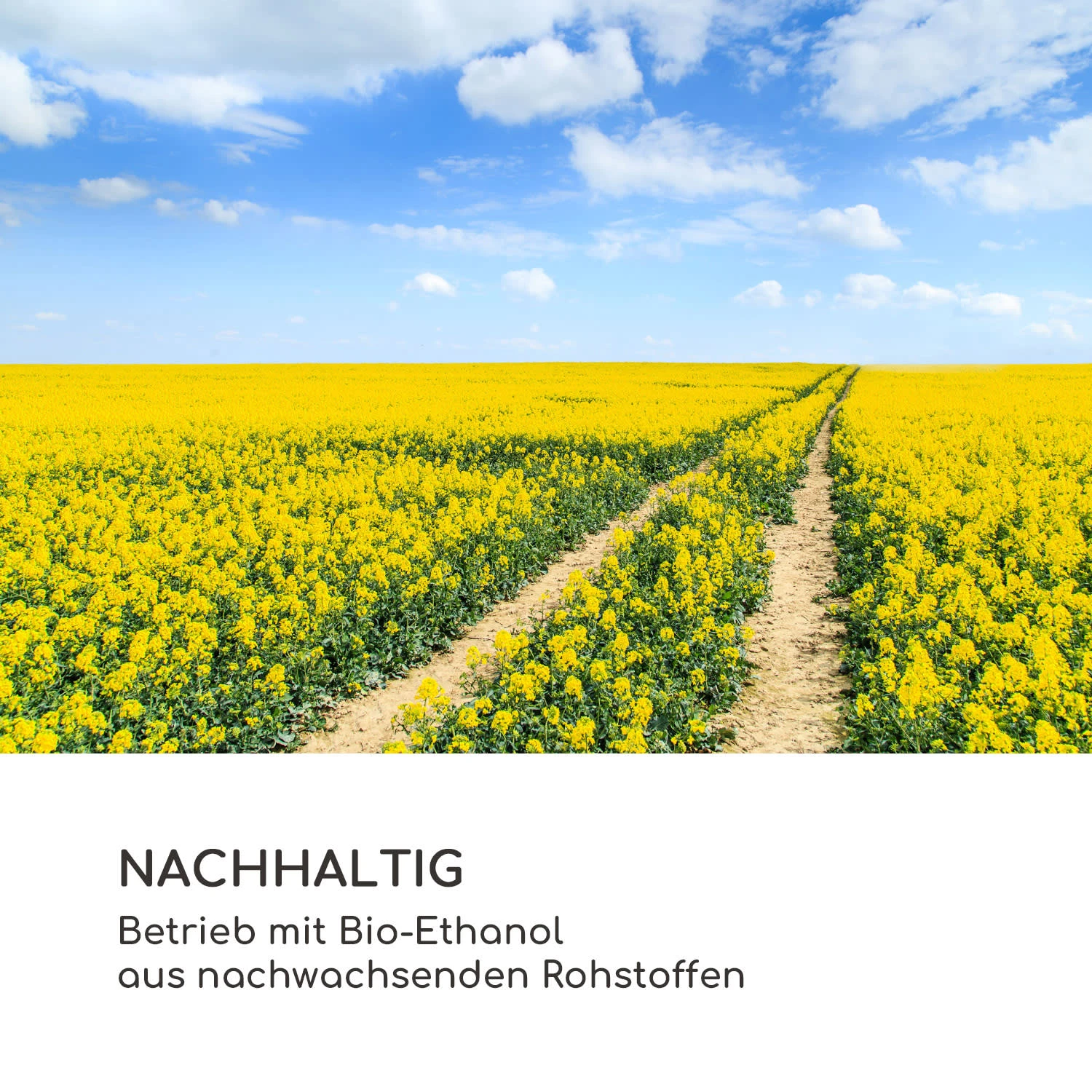 Fiamme Scoppi Ethanol-Kamin Edelstahl-Brenner 3 Liter 5-6 H Brenndauer 9 Fiamme Scoppi Ethanol-Kamin Edelstahl-Brenner 3 Liter 5-6 H Brenndauer – Bild 9