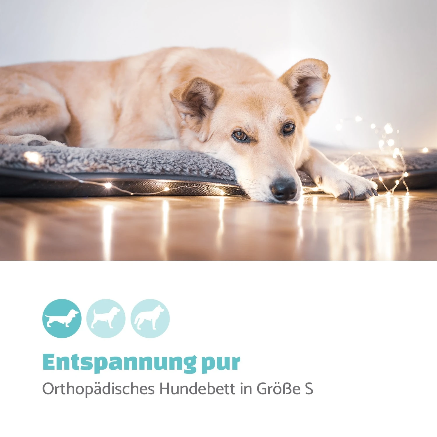 Finn Hundebett Waschbar Rutschfest Atmungsaktiv PE / Vlies Größe S 2 Finn Hundebett Waschbar Rutschfest Atmungsaktiv PE / Vlies Größe S – Bild 2