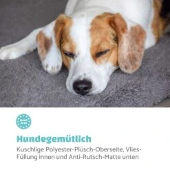 Finn Hundebett Waschbar Rutschfest Atmungsaktiv PE / Vlies Größe S 8 Finn Hundebett Waschbar Rutschfest Atmungsaktiv PE / Vlies Größe S -Garten Store 10037524 de 0003 logo