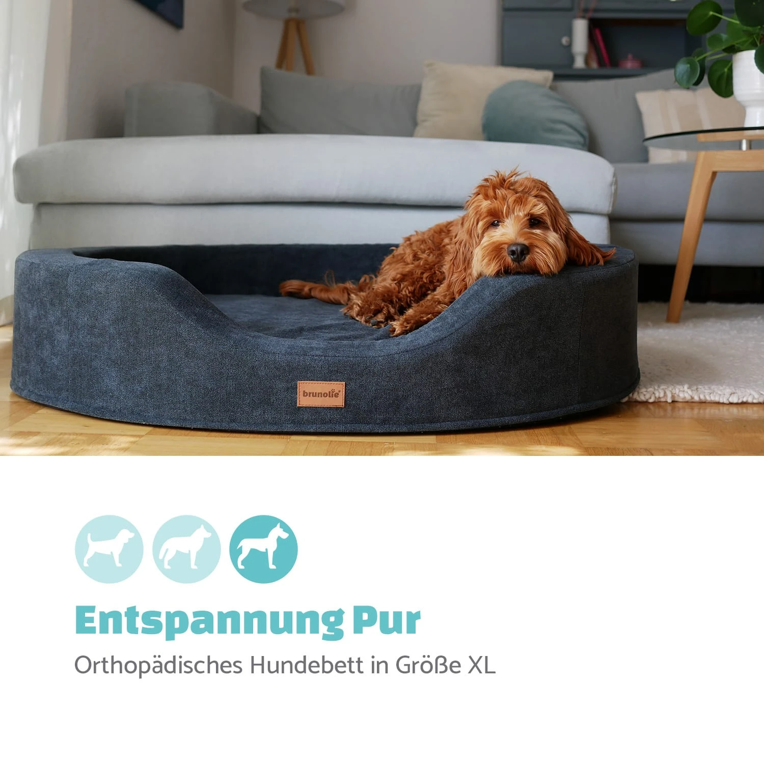 Lotte Hundebett Waschbar Orthopädisch Memory-Schaum Größe XL 2 Lotte Hundebett Waschbar Orthopädisch Memory-Schaum Größe XL – Bild 2