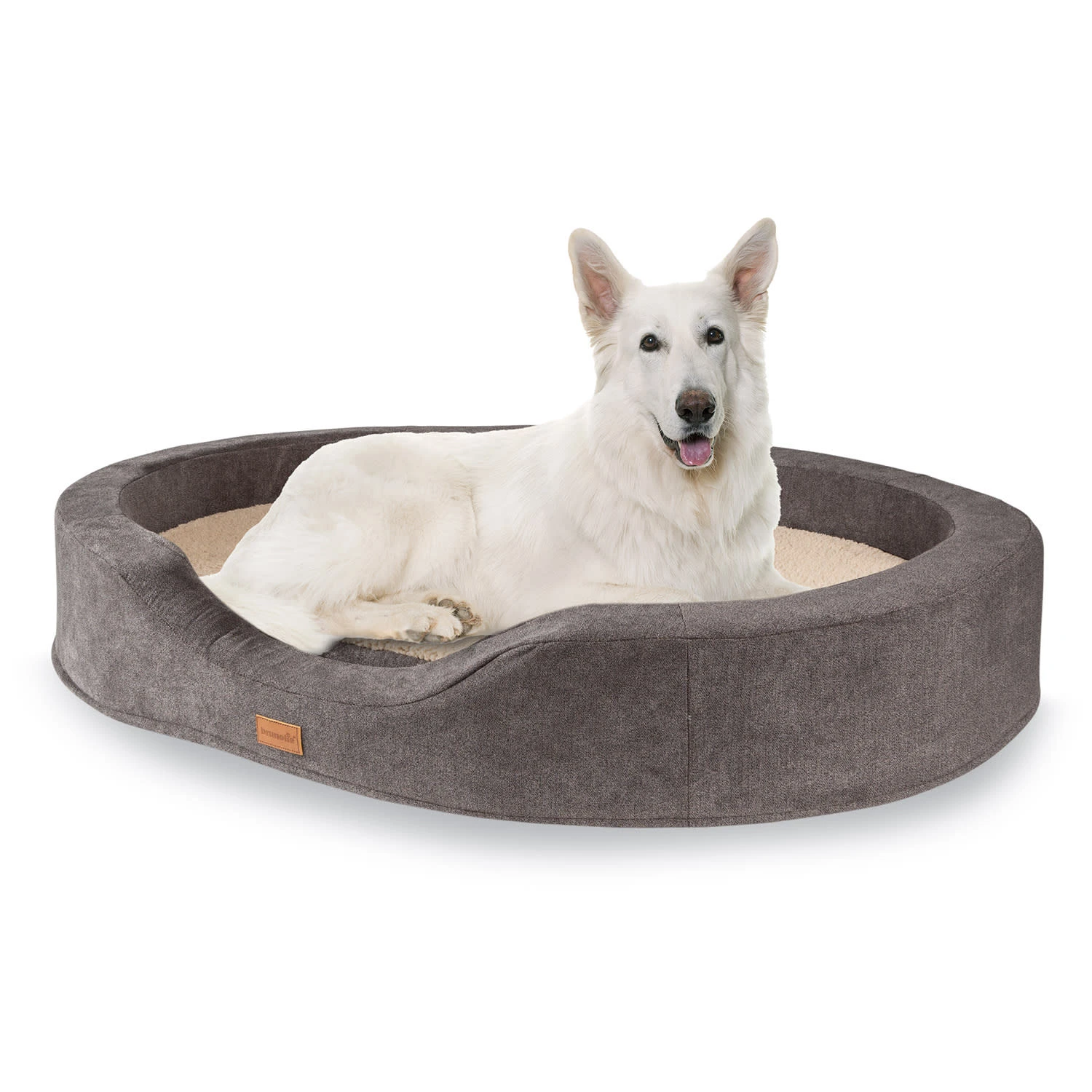 Lotte Hundebett Waschbar Orthopädisch Memory-Schaum Größe XL 1 Lotte Hundebett Waschbar Orthopädisch Memory-Schaum Größe XL