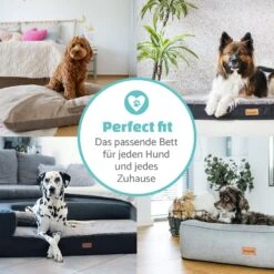 Odin Hundesofa Hundematte | Waschbar | Orthopädisch | Rutschfest | Atmungsaktiv | Memory-Schaum | Größe M (100 × 12 × 80 Cm) -Garten Store 10037599 de 0006 logo