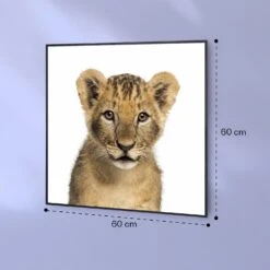 Wonderwall Air Art Smart Infrarotheizung Löwe 60x60cm 350W -Garten Store 10037833 yy 0007 logo