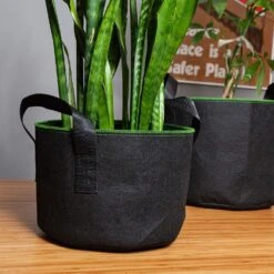 Pflanzsack Set 5 Stück 5 Liter Vlies Mit Henkeln 8 Pflanzsack Set 5 Stück 5 Liter Vlies Mit Henkeln -Garten Store 10038012 yy 0004 logo