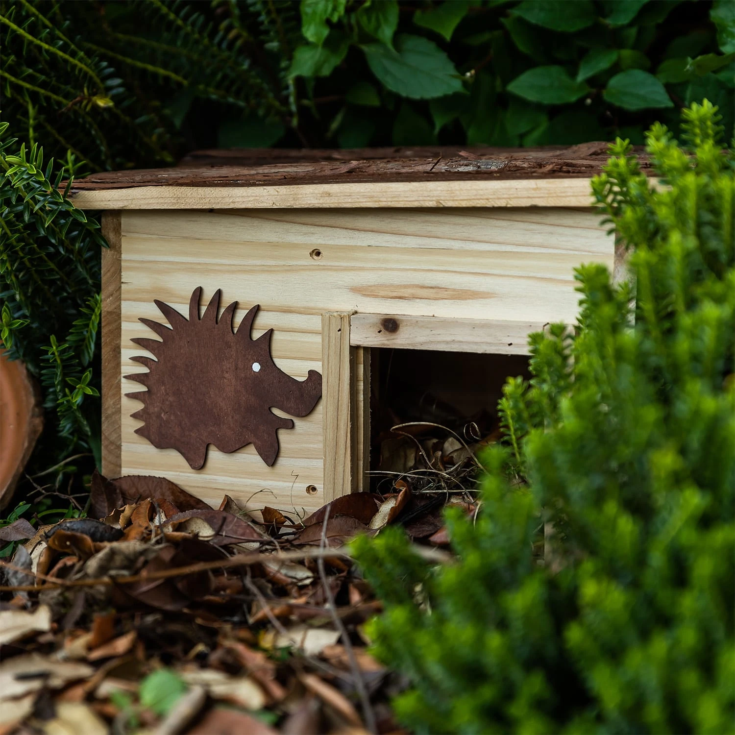 Igelhaus Futterhaus Überwinterung 2 Kammern Tannenholz Unbehandelt 6 Igelhaus Futterhaus Überwinterung 2 Kammern Tannenholz Unbehandelt – Bild 6