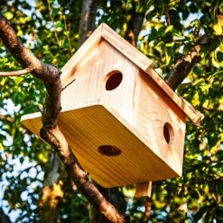 Eichhörnchenkobel Futterhaus Überwinterung 4 Zugänge Pinienholz Unbehandelt Handgefertigt 11 Eichhörnchenkobel Futterhaus Überwinterung 4 Zugänge Pinienholz Unbehandelt Handgefertigt -Garten Store 10038066 yy 0005 logo