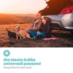 Rocky Hundeautositz Polyester Anschnallgurt Faltbar Flexibel 13 Rocky Hundeautositz Polyester Anschnallgurt Faltbar Flexibel -Garten Store 10039048 de 0006 logo