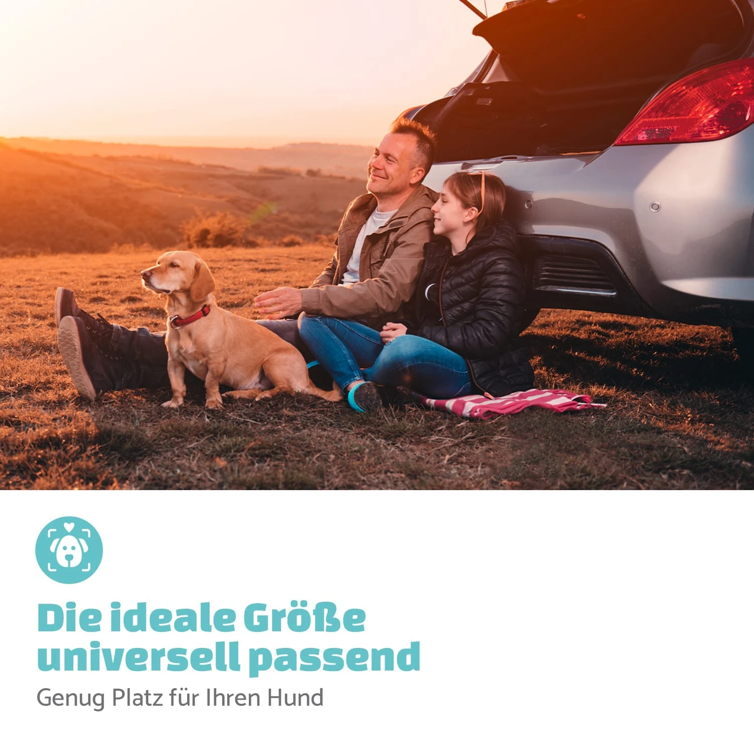 Rocky Hundeautositz Polyester Anschnallgurt Faltbar Flexibel 6 Rocky Hundeautositz Polyester Anschnallgurt Faltbar Flexibel – Bild 6